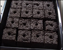 Soil blocks