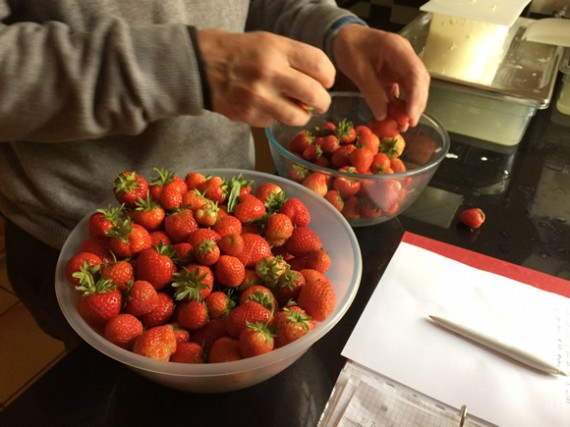 Strawberries from the veg garden