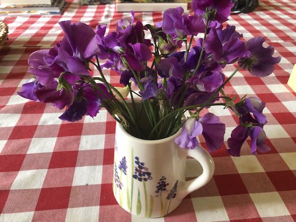 sweetpeas