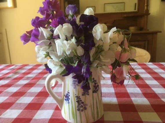 sweetpeas