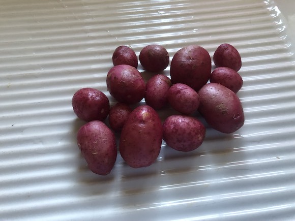 tatties