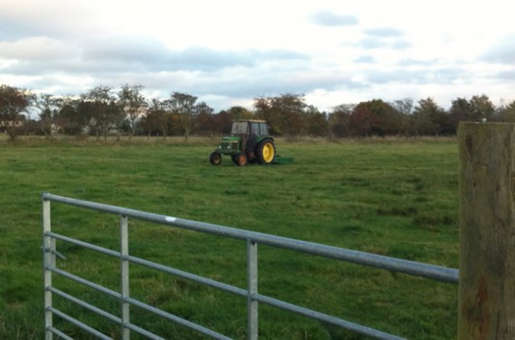 Topping rushes