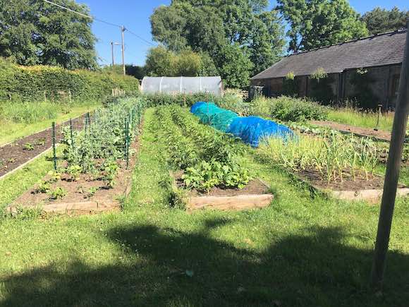 veggarden