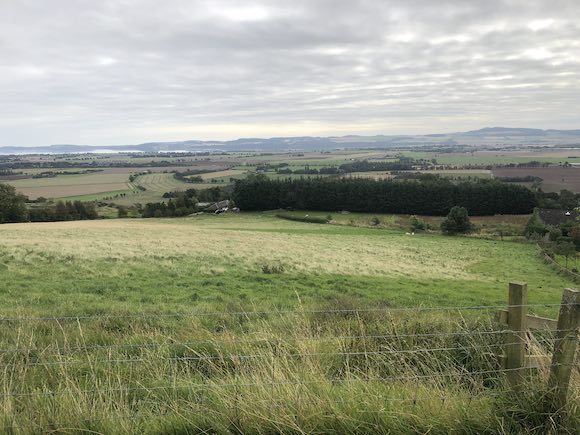 view